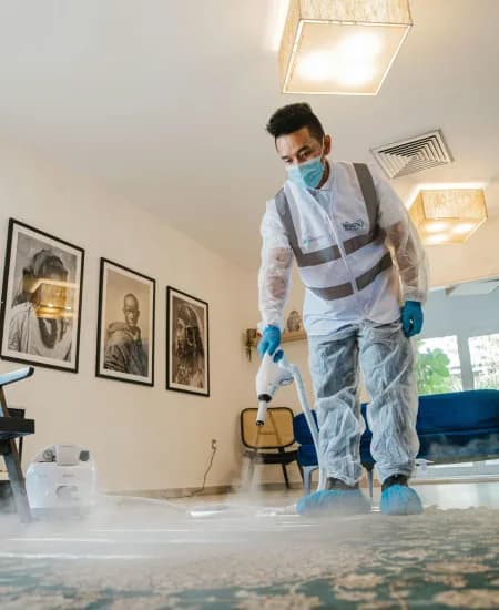 A cleaner giving a living room a thorough, detailed clean