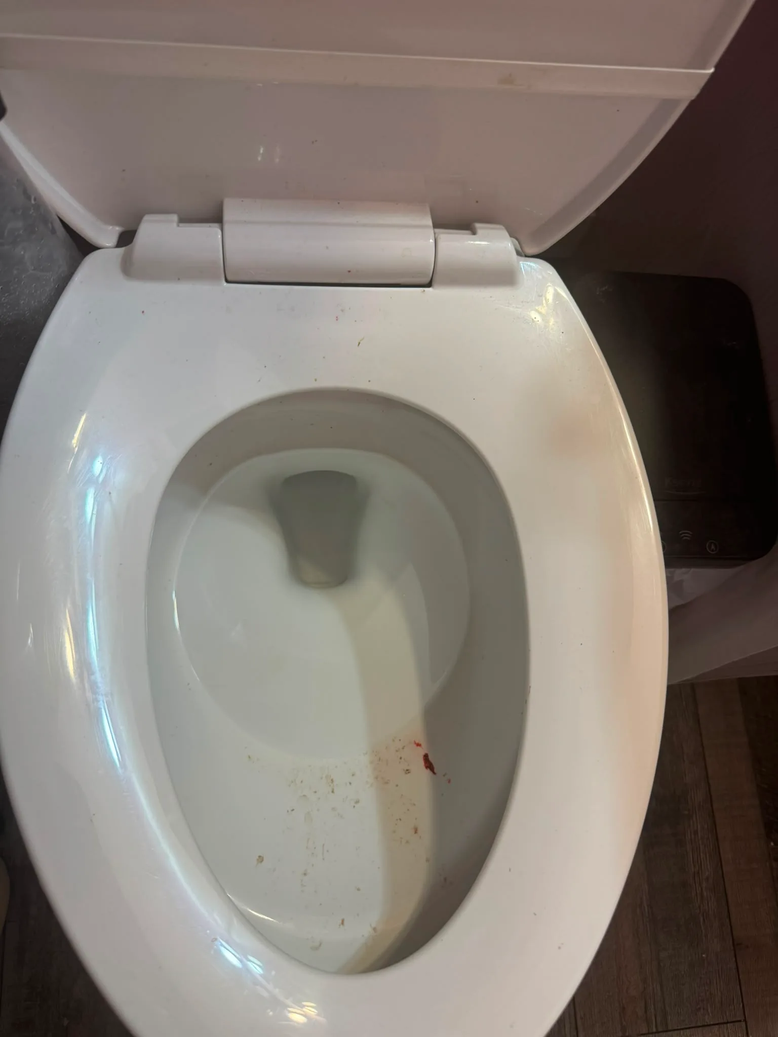 Toilet and bathroom cleaning before and after, before