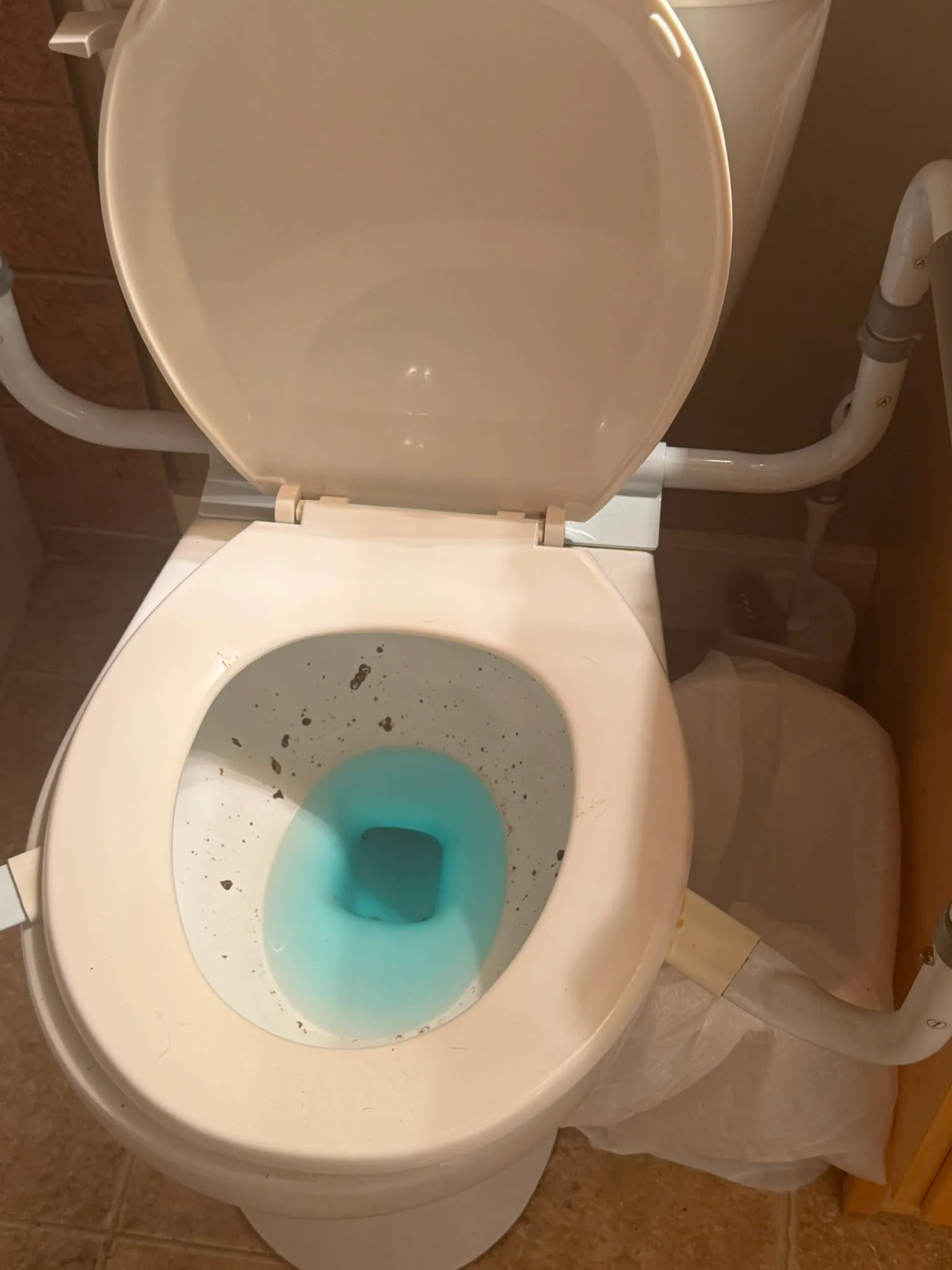 Bathroom sanitizing before and after, before